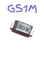  GS1M